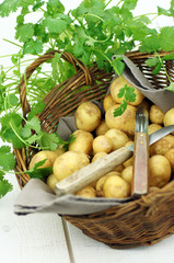pommes de terre en panier éplucheur 4