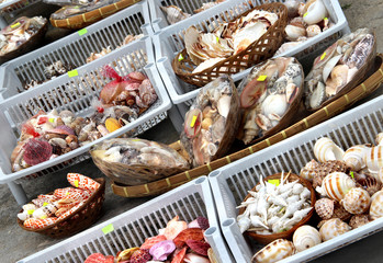 Seashell market