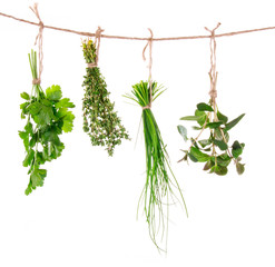 Fresh herbs hanging isolated on white background