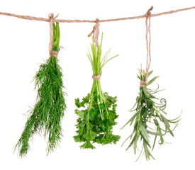 Fresh herbs hanging isolated on white background