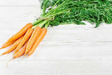 Fresh carrots bunch with green tops