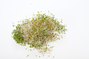 The healthy diet. Fresh sprouts isolated on white background