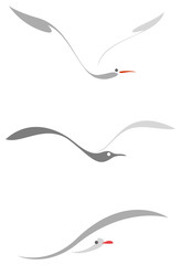 Obraz premium Stylized seagull
