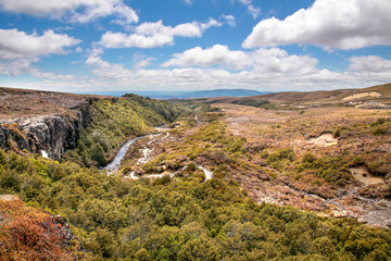 Fototapeta na wymiar Tal im Tongariro Nationalpark