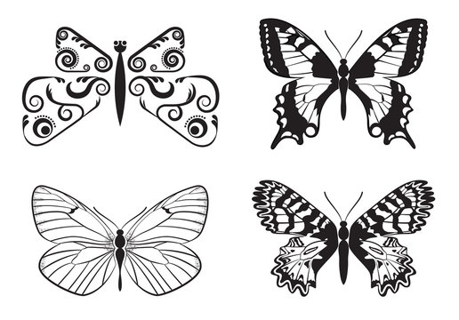 Set of monochrome butterflies