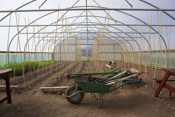indoor horticulture