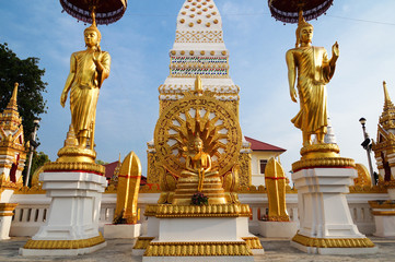 The buddha statue