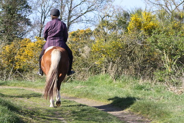 Balade à cheval dans la campagne