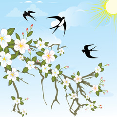 Naklejki  Flower branch with birds.