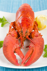 Lobster and lemon wedges on a blue background.