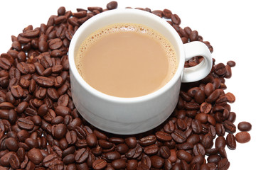 isolated cup of milk coffee