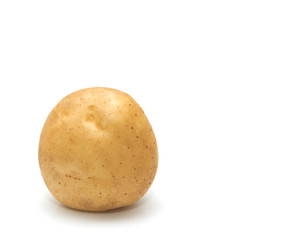 Fresh potatoes on a white background