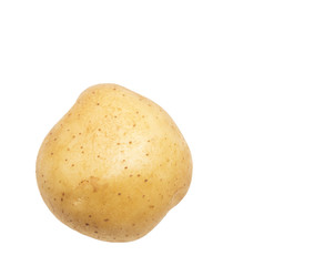 Fresh potatoes on a white background