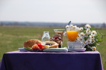 Frühstück im Garten