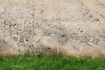 grass near the old concrete wall