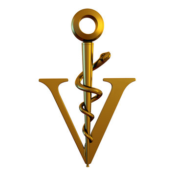 Caduc&eacute;e des v&eacute;t&eacute;rinaires