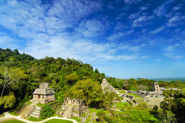 Palenque View - obrazy, fototapety, plakaty