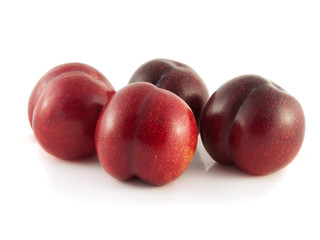 Isolated red ripe plums on a white background