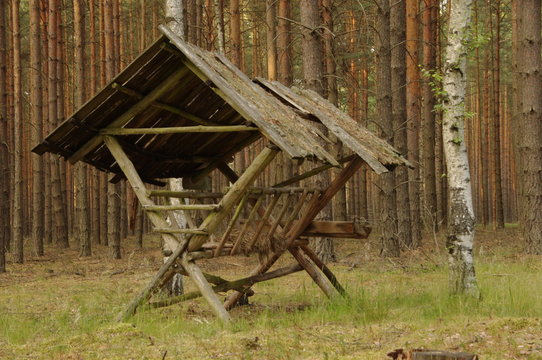 Stary paśnik.