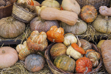 Various Pumkins