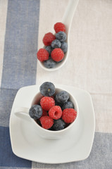 Heidelbeeren und Himbeeren