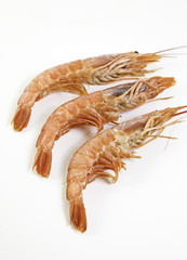 Fresh prawns