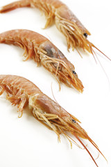 Luxury Shrimp