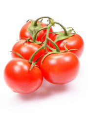 The fresh juicy tomatoes