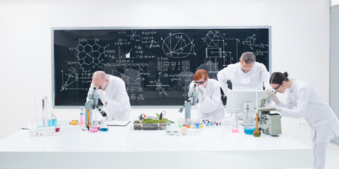 under microscope lab analysis