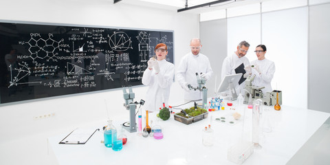 chemistry lab experimental studies