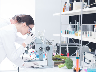 under microscope lab analysis