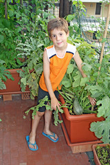 baby on his orchard in fact with pots on a terrace of an apartme