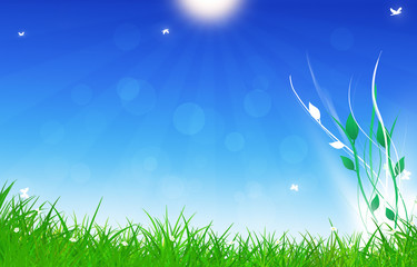 Obraz premium Under Summer Shiny Sun