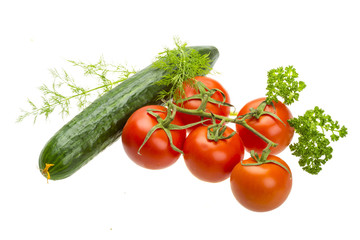 Red ripe tomatoes on the branch
