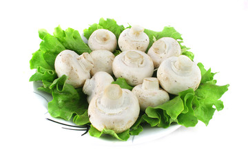 Fresh mushrooms and green salad in a platel isolated on white