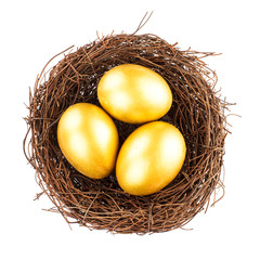golden eggs in nest