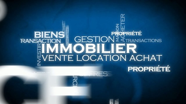Immobiler vente location achat nuage de mots-cl&eacute;s animation