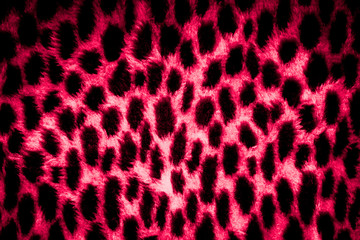 leopard skin texture
