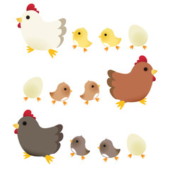 Cute Chicken - Vector File EPS10