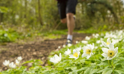 Forest run in springtime