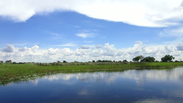 Traumhafte Landschaft im Okavangadelta
