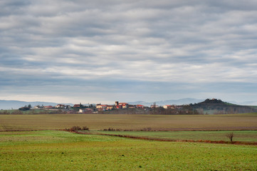 Obraz premium green fields of cereal on a cold morning with fog