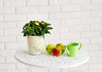 Still life with apples, flowers and garden watering can