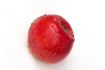Pilot apple