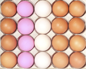 Lot of colorful eggs in a row on a tray