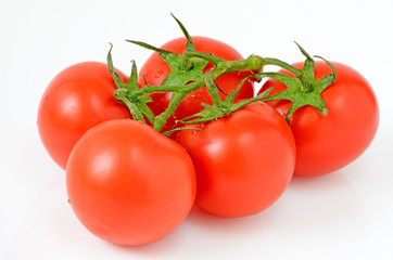 Branch of red ripe tomatoes