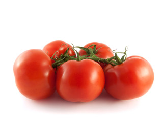 Fresh red tomatoes on branch. Isolated on white.
