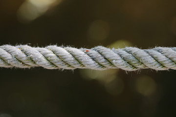 detail of an old rope