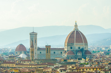 Fototapeta na wymiar View of florence during the day