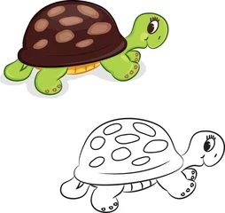  Cartoon schildpad. Kleurboek. vector illustratie © ARNICA
